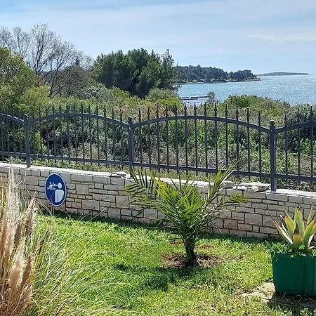 Appartement Casa Ceslerus